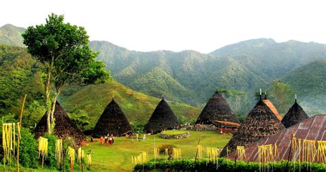 Manggaraian houses in the tribal village of Wae Rebo, Indonesia ...