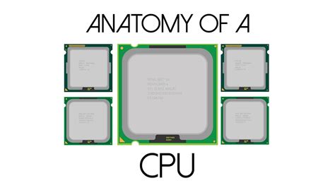 Diagram Of Cpu And Its Parts