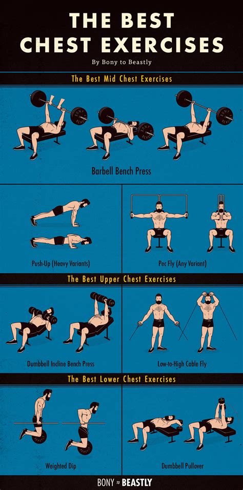 The Best Chest Exercises Chart — Bony to Beastly