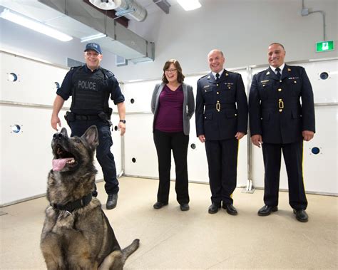 RCMP Police Service Dogs Work Hard in the Fight Against Fentanyl ...