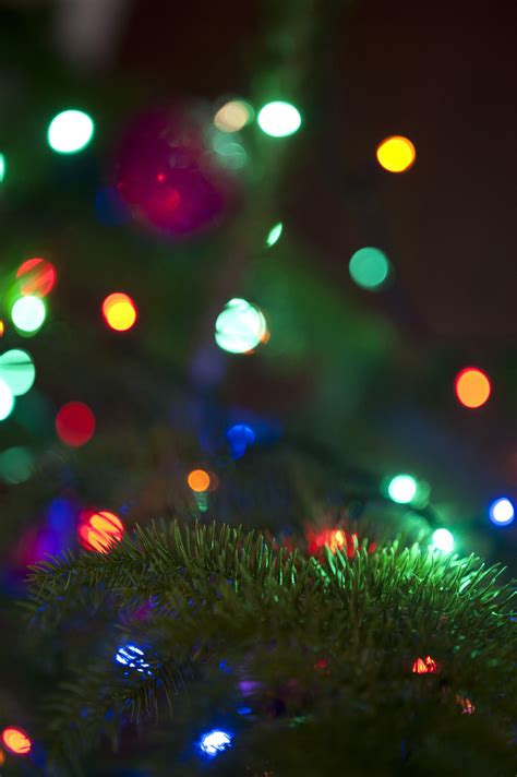 Free Image of Bokeh of colorful Christmas lights | Freebie.Photography