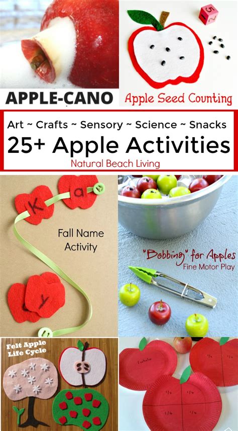 25+ Awesome Apple Activities for Kids - Natural Beach Living