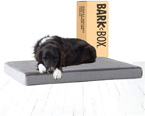 Best Chew Proof Dog Bed, Cover and Crates - iPetCompanion