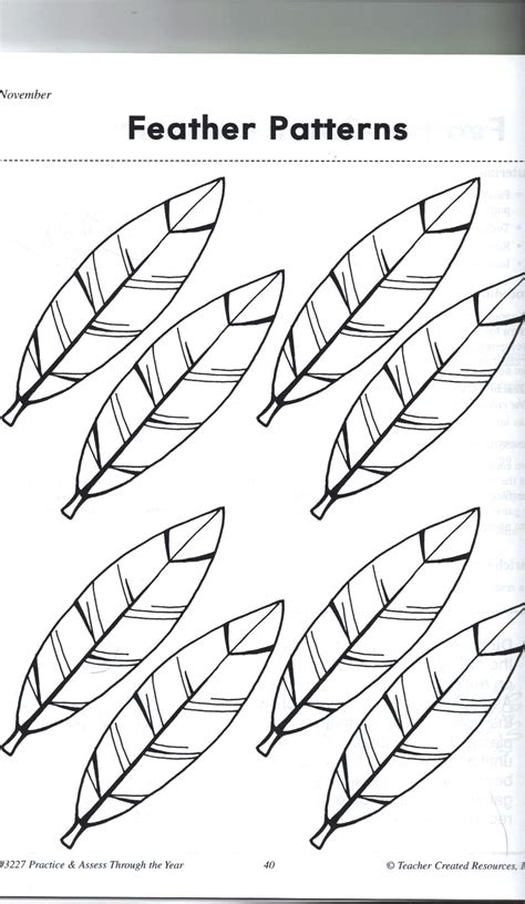 Printable Turkey Feather Outline