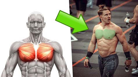 The Perfect Chest Workout in Only 20 Minutes (for Muscle and Mass) | BOXROX