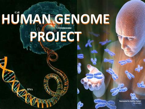 Human genome project