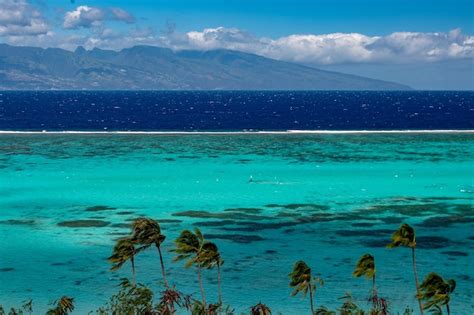 Premium Photo | Moorea lagoon view on tahiti