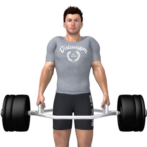 Barbell Shrugs Video Exercise Guide