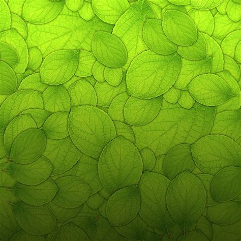 Pure Green Leaf Texture Pattern Background iPad Wallpapers Free Download