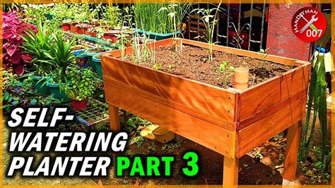 Strong & Self-Watering Wooden Planter Box (How to Grow Crops) - YouTube ...