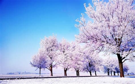 Korea Winter Wallpapers - Top Free Korea Winter Backgrounds ...