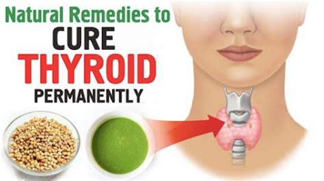 Thyroid Natural Treatment - Philadelphia Holistic Clinic