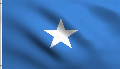 Amazon.com : DMSE Somalia Somali Flag 3X5Ft Foot 100% Polyester 100D ...