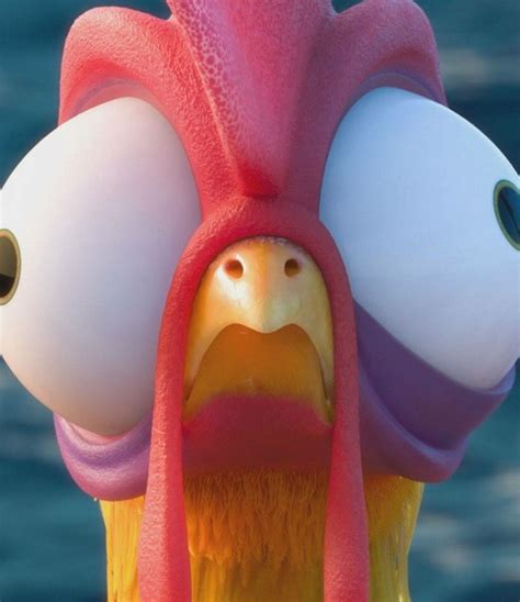 The meaning of heihei here’s what moana’s chicken is really all about ...