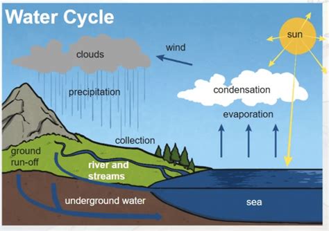 What is Condensation? | Twinkl - Twinkl