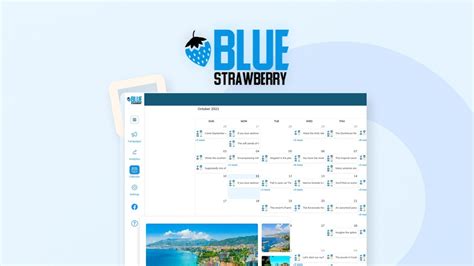 Blue Strawberry | AppSumo