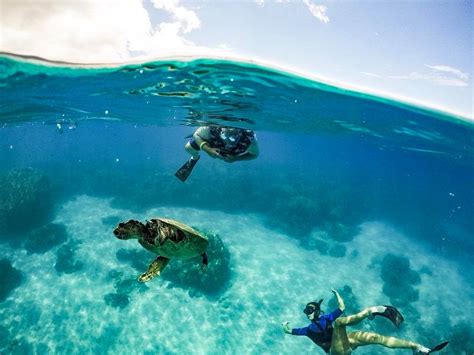 Snorkeling With Sea Turtles In Maui - A Great Adventure