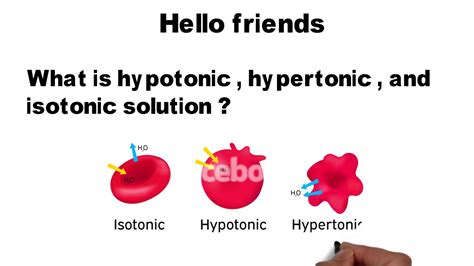 Hypertonic hypotonic isotonic simple diagrams - parentseka