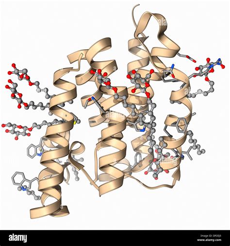 Rhomboid protease molecule Stock Photo - Alamy