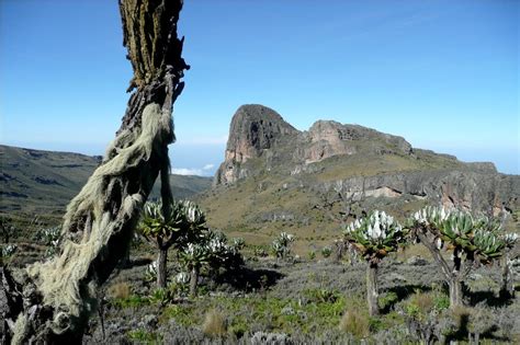 Mount Elgon National Park | Join Up Safaris