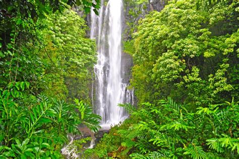 Top Waterfalls To Visit & Experience | Maui Hawaii