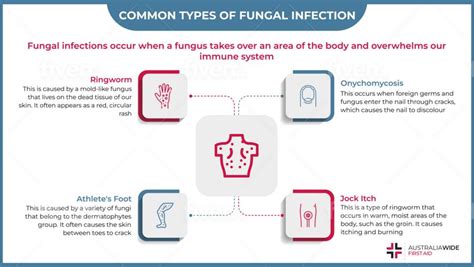 Fungal Infection Fact Sheet