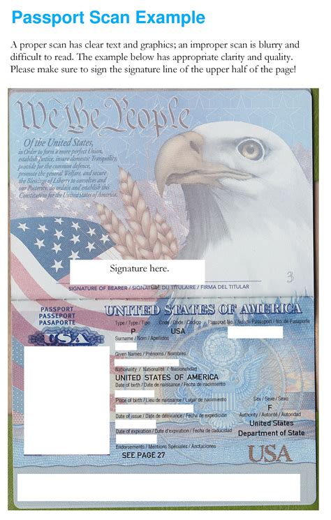 21 Us Passport Photo Templates 100 Free ᐅ Templatelab