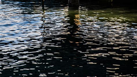 Water Reflection Background Free Stock Photo - Public Domain Pictures