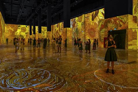 Van Gogh ‘immersive experience’ headed to Chicago for U.S. premiere ...