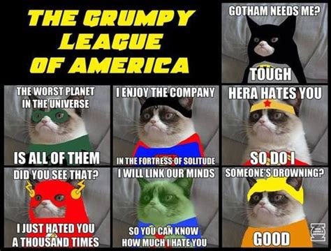 Grumpy Cat: Grumpy League