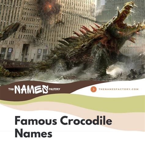 300+ Creative Crocodile Names & Alligator Names