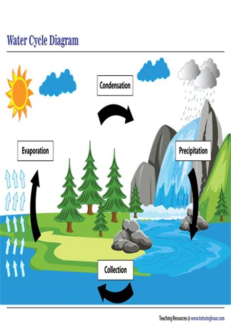 Printable Water Cycle Diagram