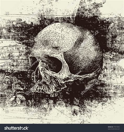 Skull And Grunge Vector Background - 75414352 : Shutterstock