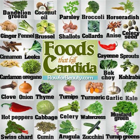 21 best candida and parasites- natural treatments images on Pinterest ...