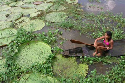 Manaus: Full-Day Tour on the Amazon River | GetYourGuide