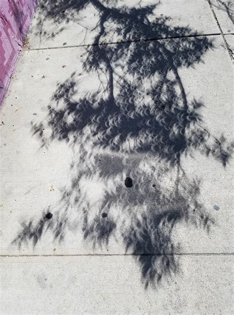 Shadow during the eclipse : r/pics