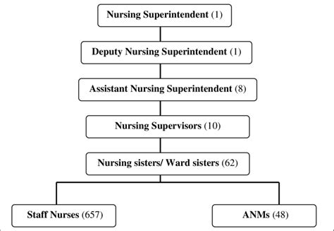 Typical Hospital Organizational Chart