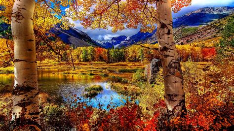 Autumn Scene Wallpapers - Wallpaper Cave