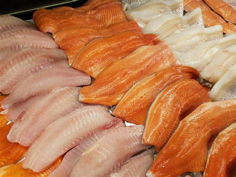 Fresh fish fillet stock photo. Image of fillet, view - 142728296