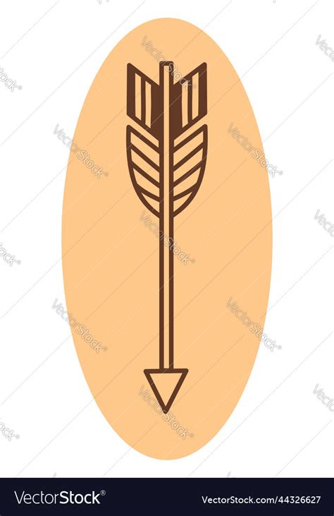 Arrow with feathers on a white background Vector Image