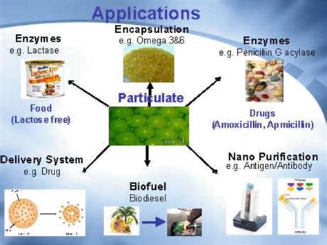 Introductory Chapter: Introduction to Biocomposites – New Insights ...