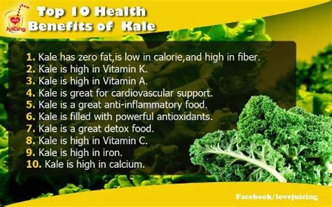 Kale Benefits | ENCYCLOPEDIA OF FOOD FOR HEALTH AND WELL-BEING