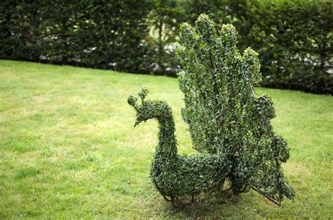 Topiary animals - Bespoke topiary plant sculptures