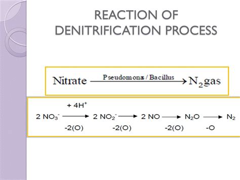 Denitrification Equation