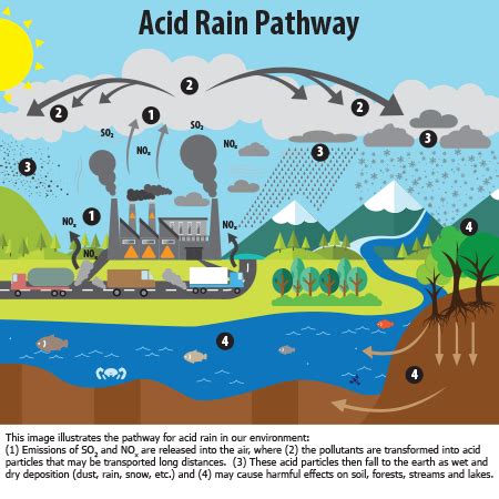 Environmental Science: Acid Rain, Pollution Prevention, & Conservation ...