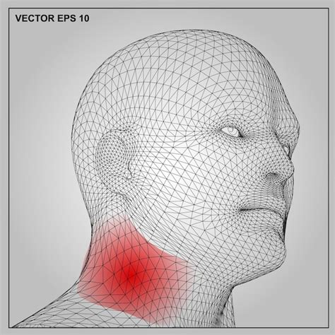 Lymph nodes in neck Vectors & Illustrations for Free Download | Freepik