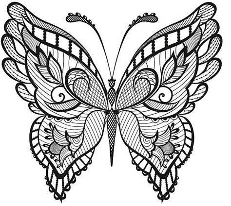 Butterfly Coloring Pages For Adults Best Coloring Pages For Kids