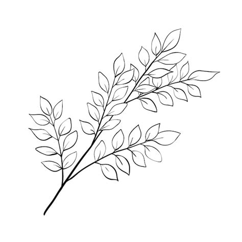 Premium Vector | Tree branch outline floral sketch isolated vector