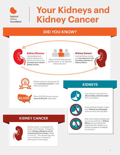 Kidney Cancer | National Kidney Foundation