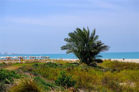 Saadiyat Public Beach, Saadiyat Island, Abu Dhabi, UAE Stock Photo ...